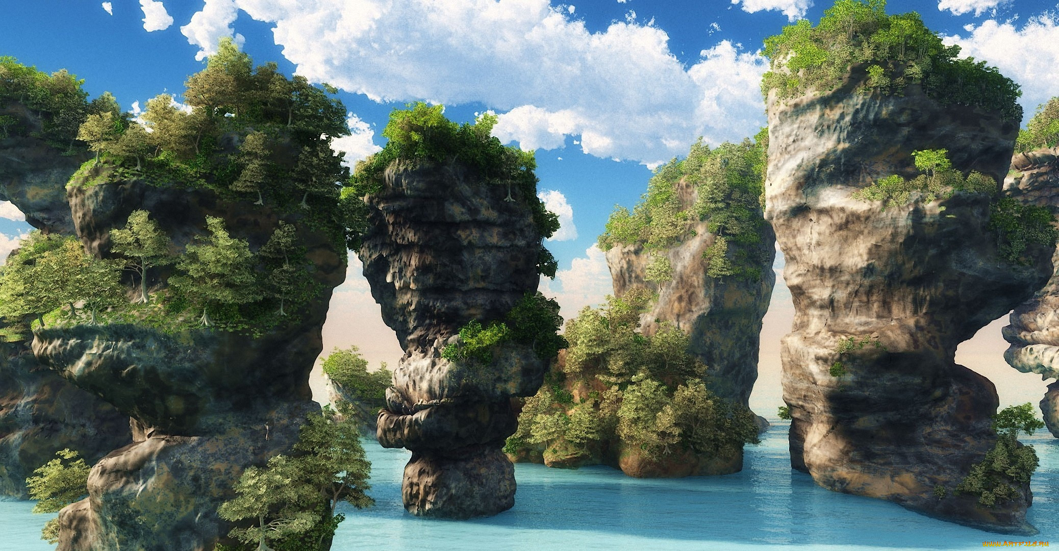 3 ,  , nature, 